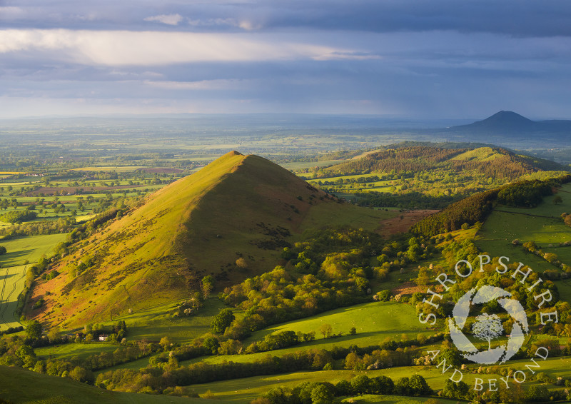 Evening light on the Lawley, Shropshire, seen from Caer Caradoc, with the Wrekin in the distance.