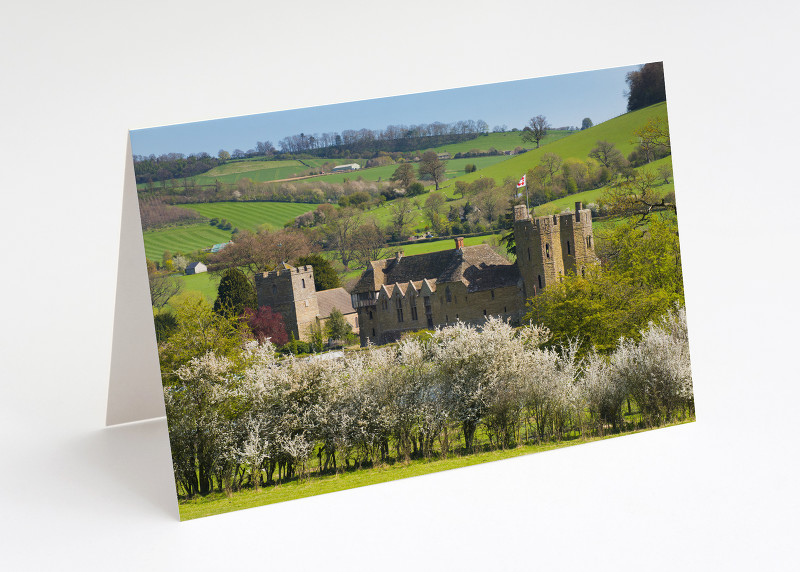 Spring blossom at Stokesay Castle, Shropshire.