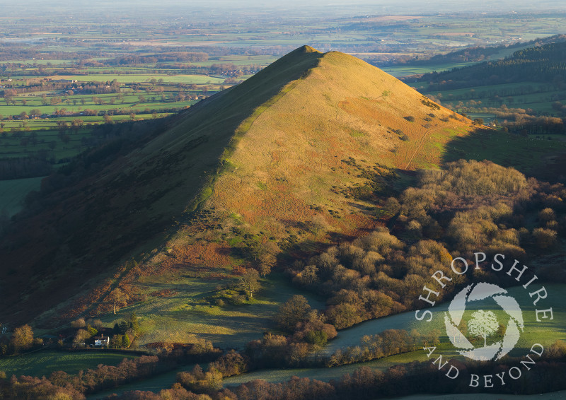Early morning light on the Lawley, seen from Caer Caradoc, Shropshire.