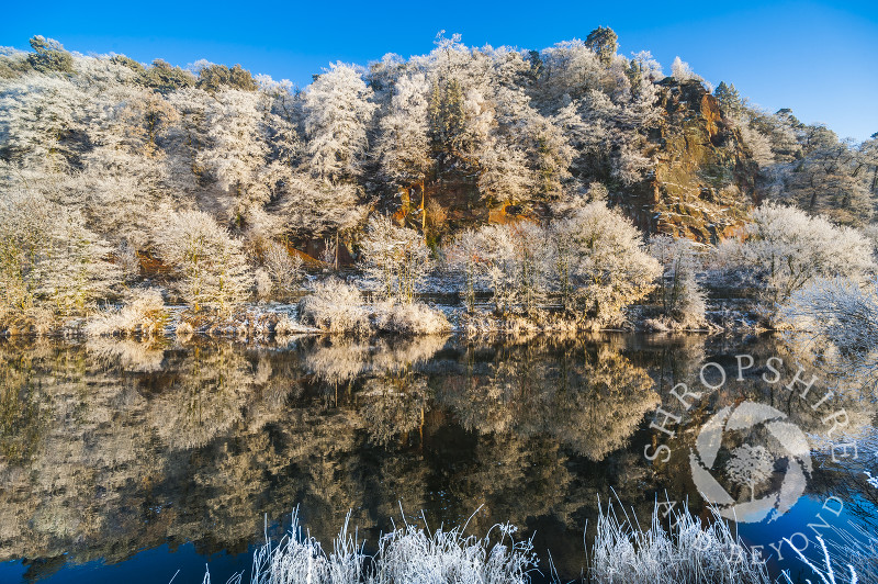 Hoar frost on High Rock overlooking the River Severn, at Bridgnorth, Shropshire, England.