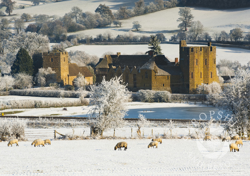 Sheep in a snow-covered field at Stokesay Castle, Shropshire.