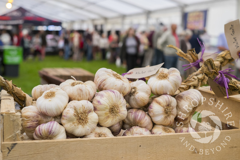 Garlic for sale on the French Flavour stall at Ludlow Food Festival, Shropshire.