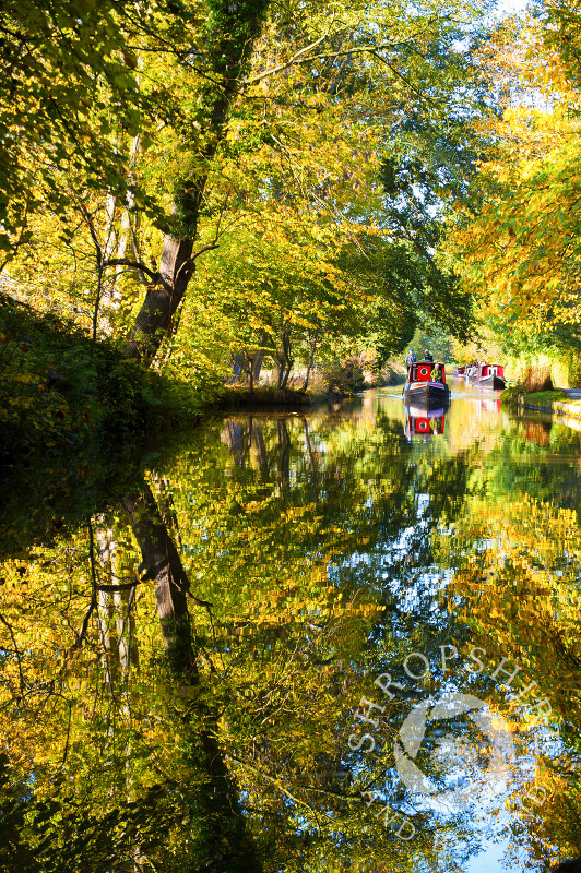 Autumn reflections on the Llangollen Canal at Ellesmere, Shropshire, England.