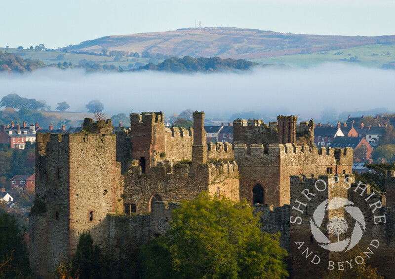 Ludlow Castle and morning mist, Shropshire.