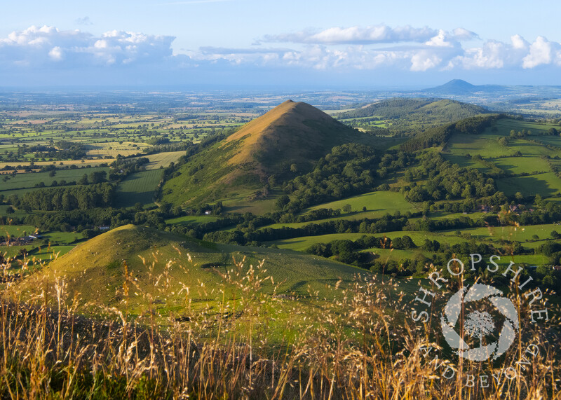 Evening light on the Lawley, seen from Caer Caradoc, Shropshire.
