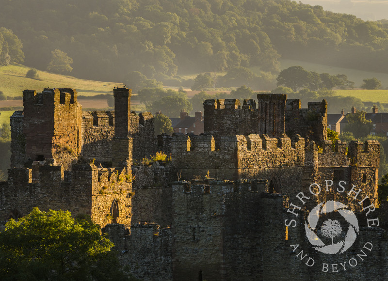 Early morning sun highlights the walls and battlements of Ludlow Castle, Shropshire.