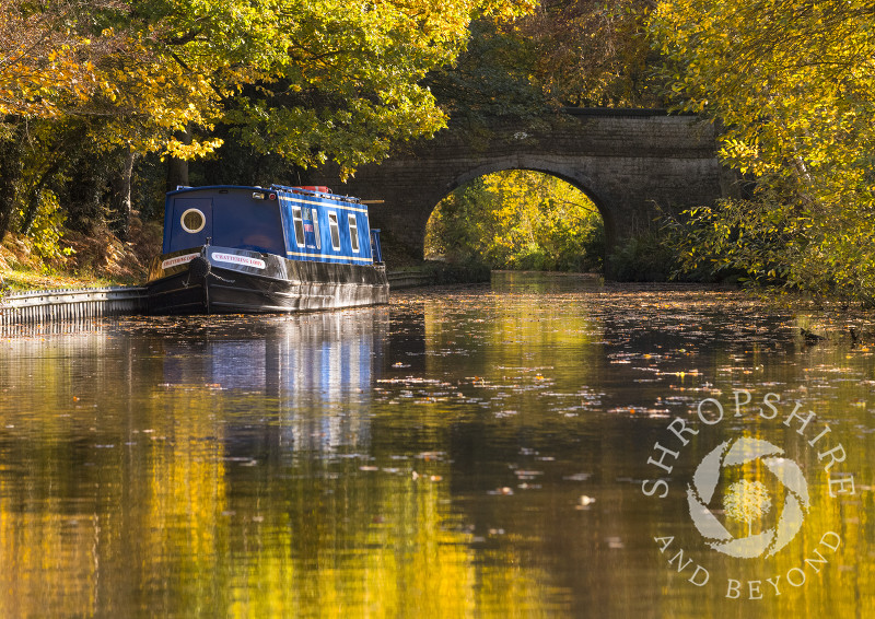 Autumn reflections on the Llangollen Canal near Ellesmere, Shropshire.