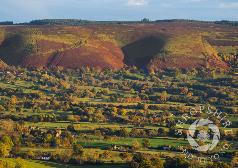 Autumn countryside beneath the western slopes of the Long Mynd, Shropshire.