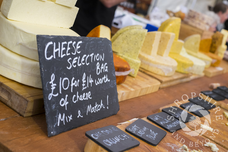Cheeses for sale at Ludlow Food Festival, Shropshire.
