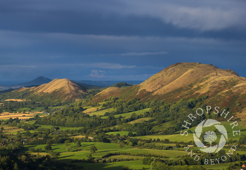 Caer Caradoc, the Lawley and the Wrekin seen from the Long Mynd, Shropshire.