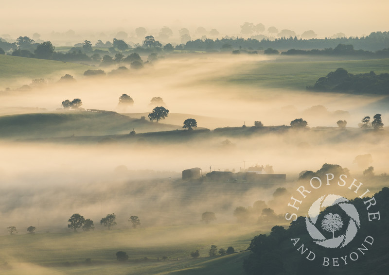Mist over south Shropshire countryside at sunrise, seen from the Stiperstones National Nature Reserve.