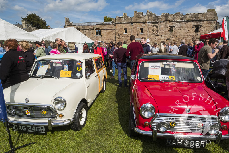 Minis on display at the 2017 Ludlow Spring Festival