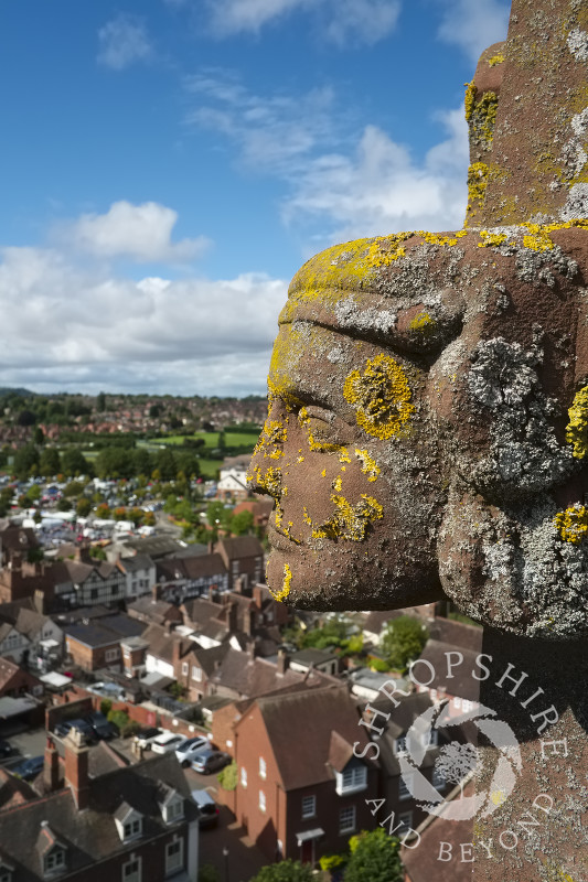 Lichen-covered stone carving on top of  St Leonard's Church in Bridgnorth, Shropshire.