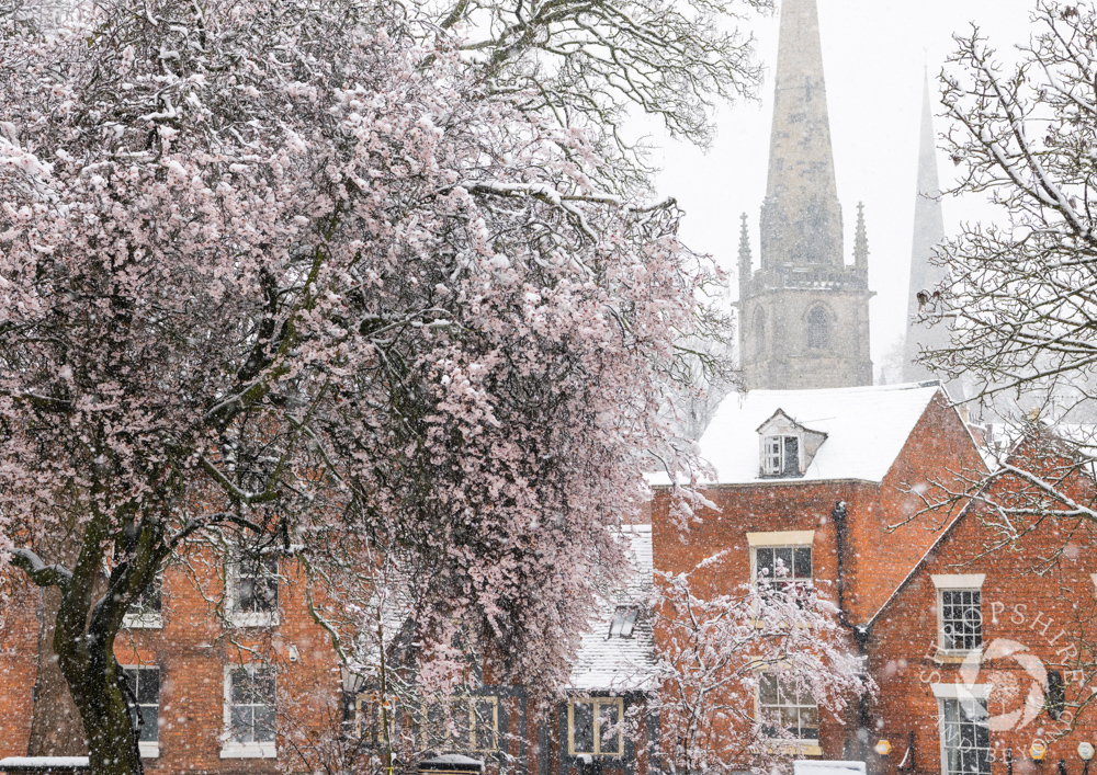 Blossom and snow at Old St Chad's