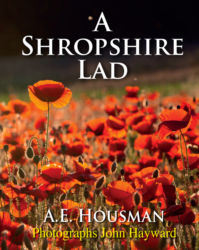 Brand new chapter for A Shropshire Lad