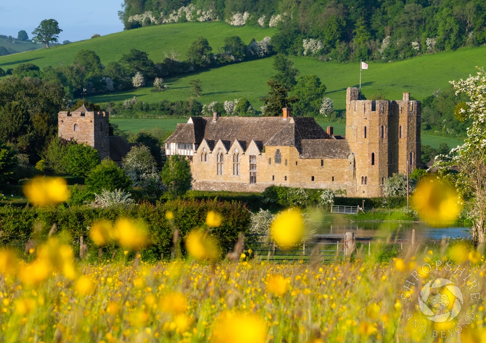 Historic site set amid a sea of buttercups