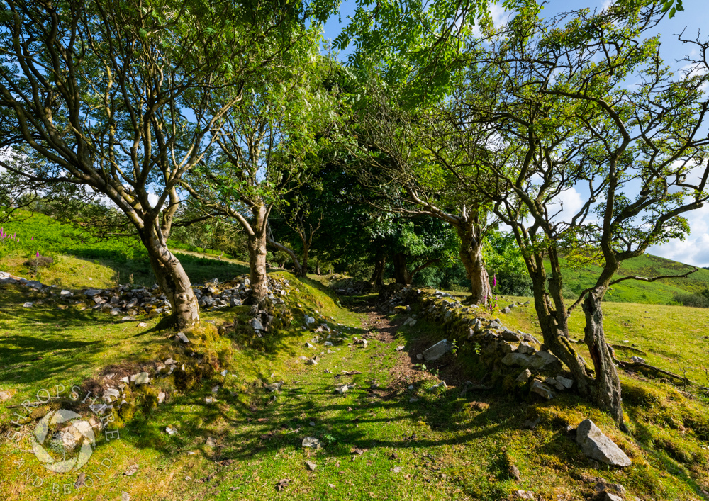 Stiperstones pathway into the unknown