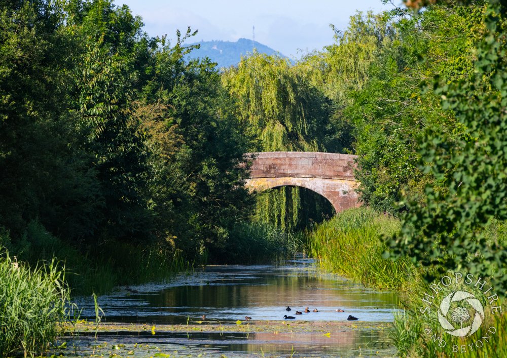 New perspective from the Newport Canal