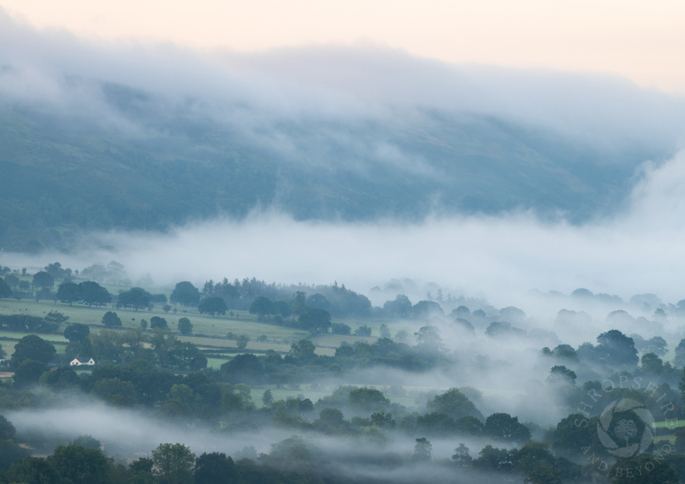 Ethereal morning in the misty Stretton Hills