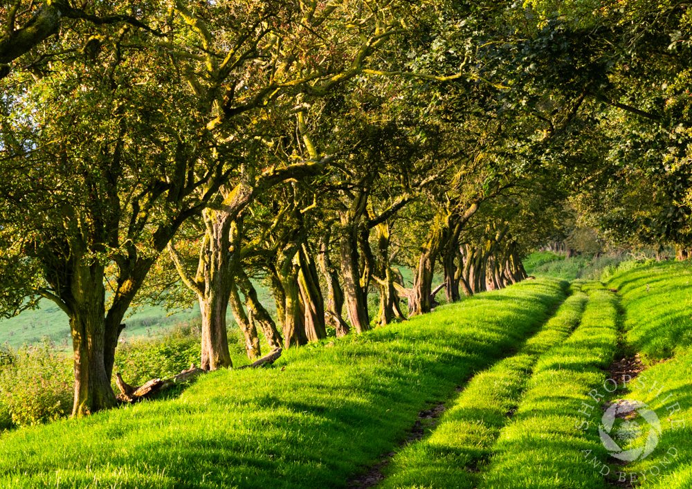 In the footsteps of the past on Adstone Hill