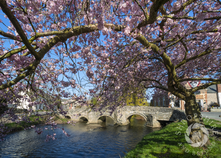 Spring is just around the corner