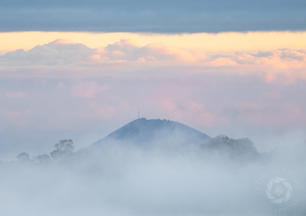 A pink and blue sunrise over the Wrekin