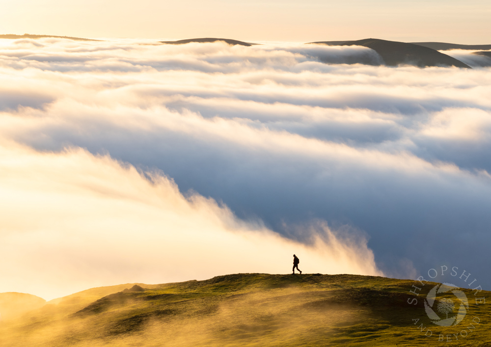 A look back at our best images from 2023