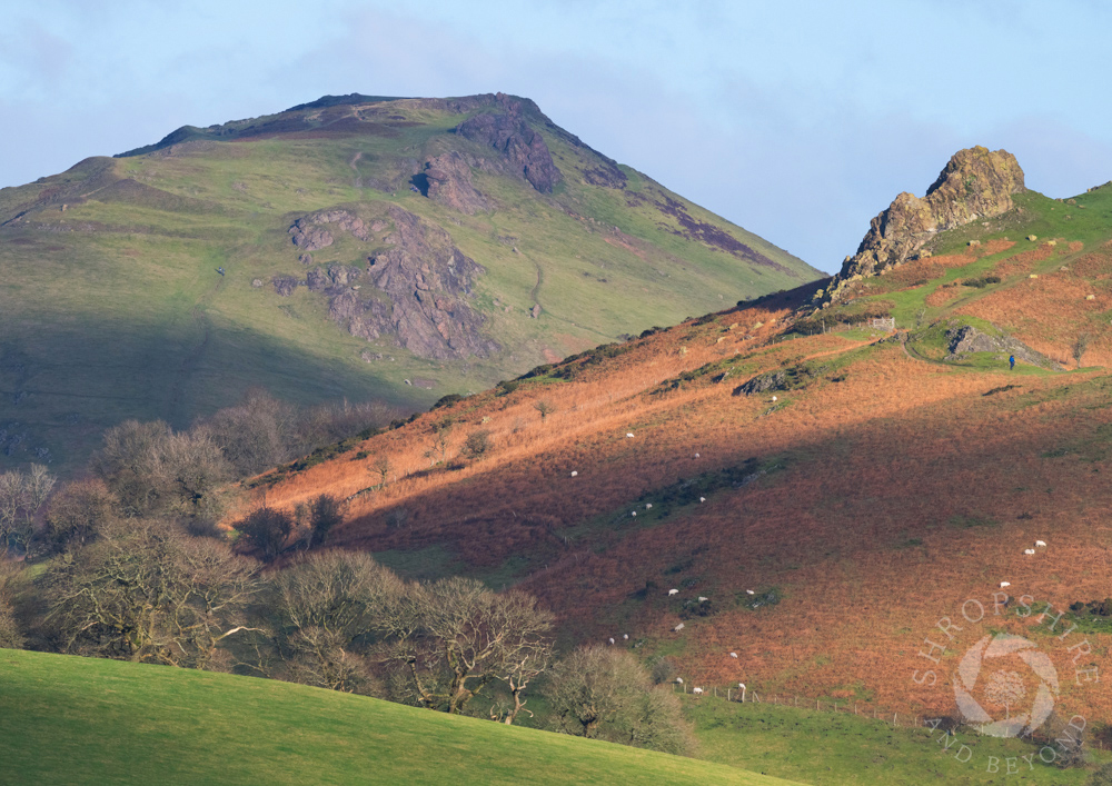 Light and shadows in the Stretton Hills