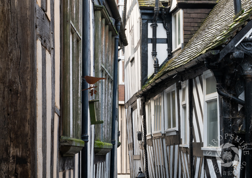 A step back into history along Grope Lane