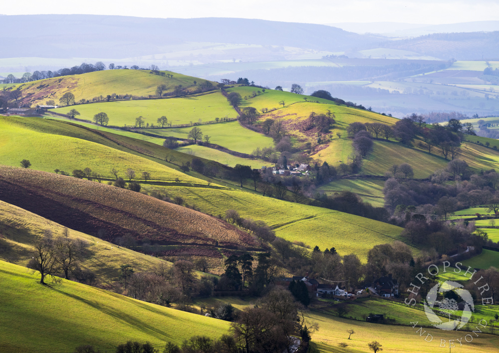 Sunshine and shadow on Cothercott Hill