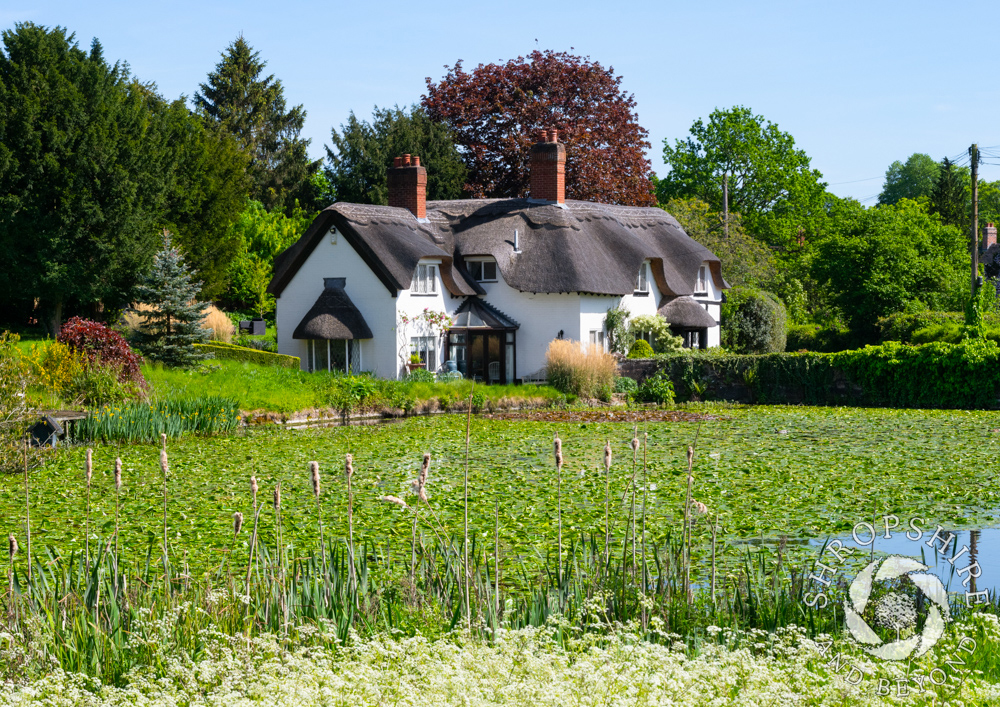 At home in 'nearest place to paradise'