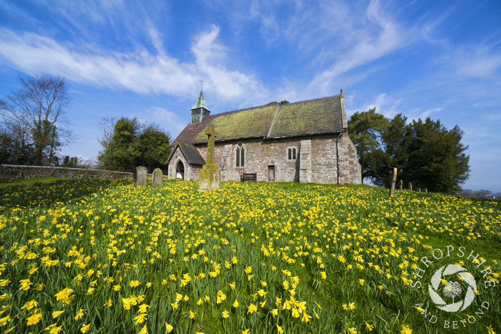 Sea of gold at Smethcote church