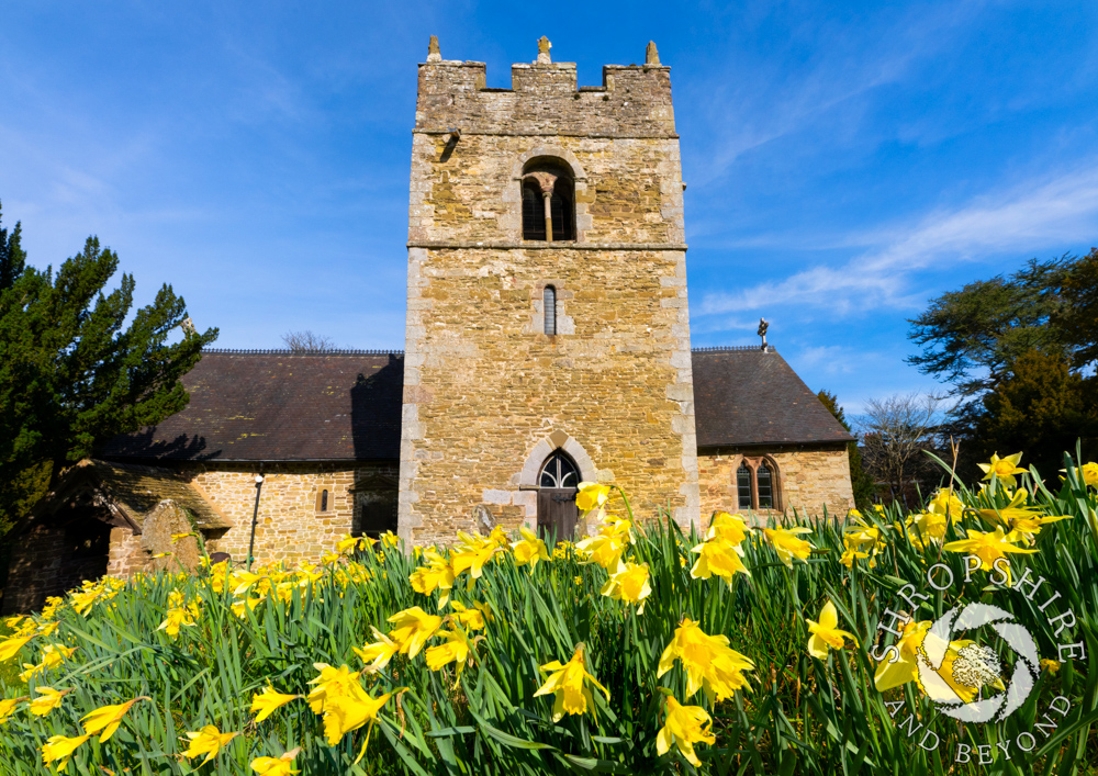 Spring stages dazzling display in Shropshire