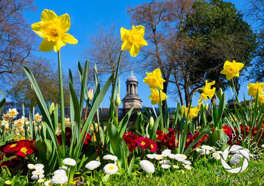 Sunshine and colour light up the Dingle