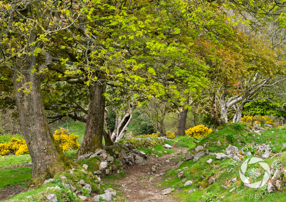 A walk on the wild side of the Stiperstones