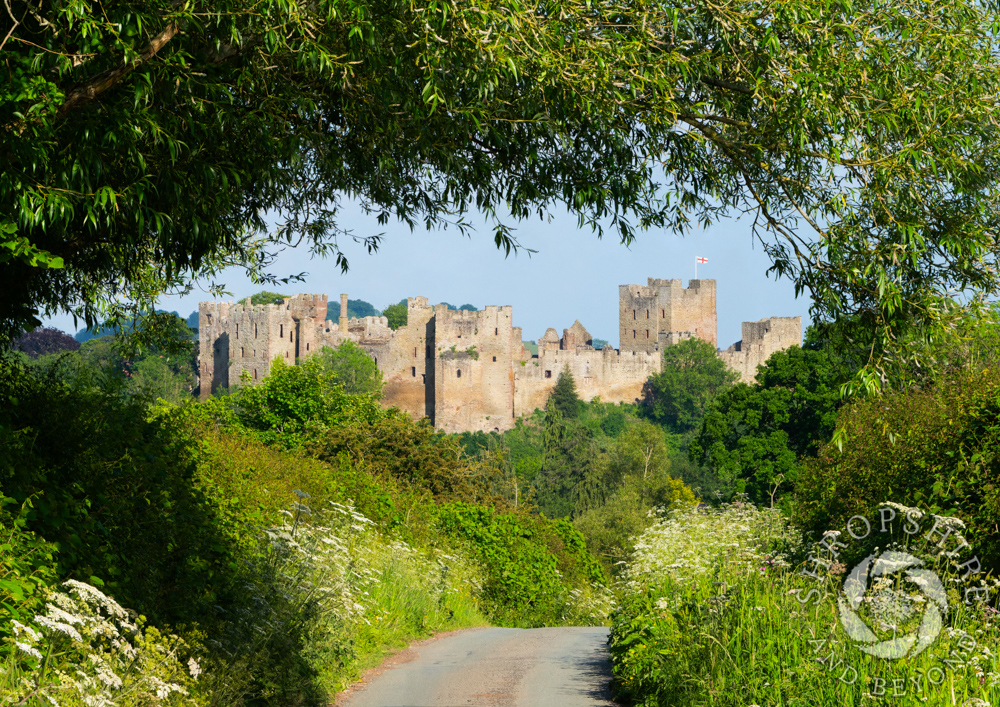 Perfect spot to capture view of Ludlow Castle