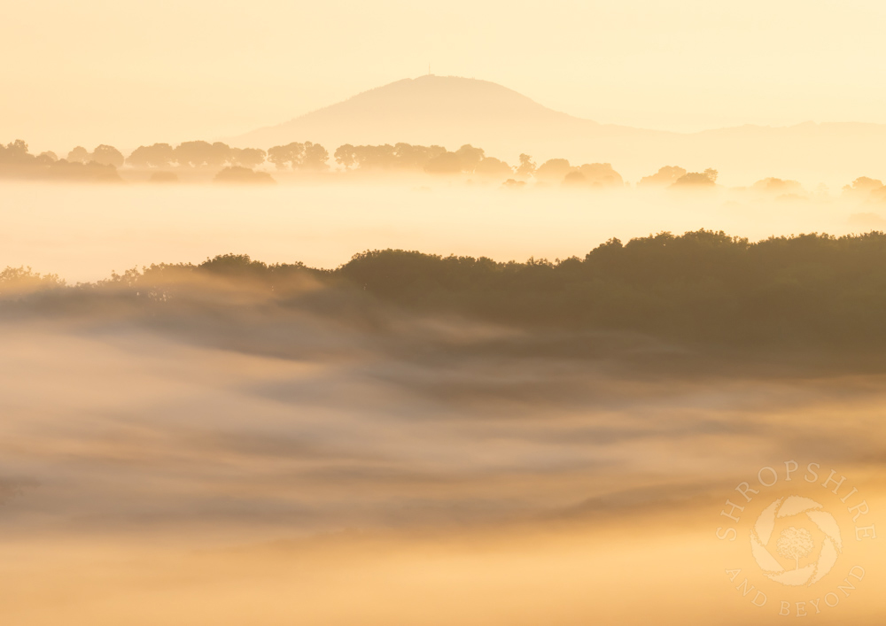 A misty walk at sunrise along Wenlock Edge
