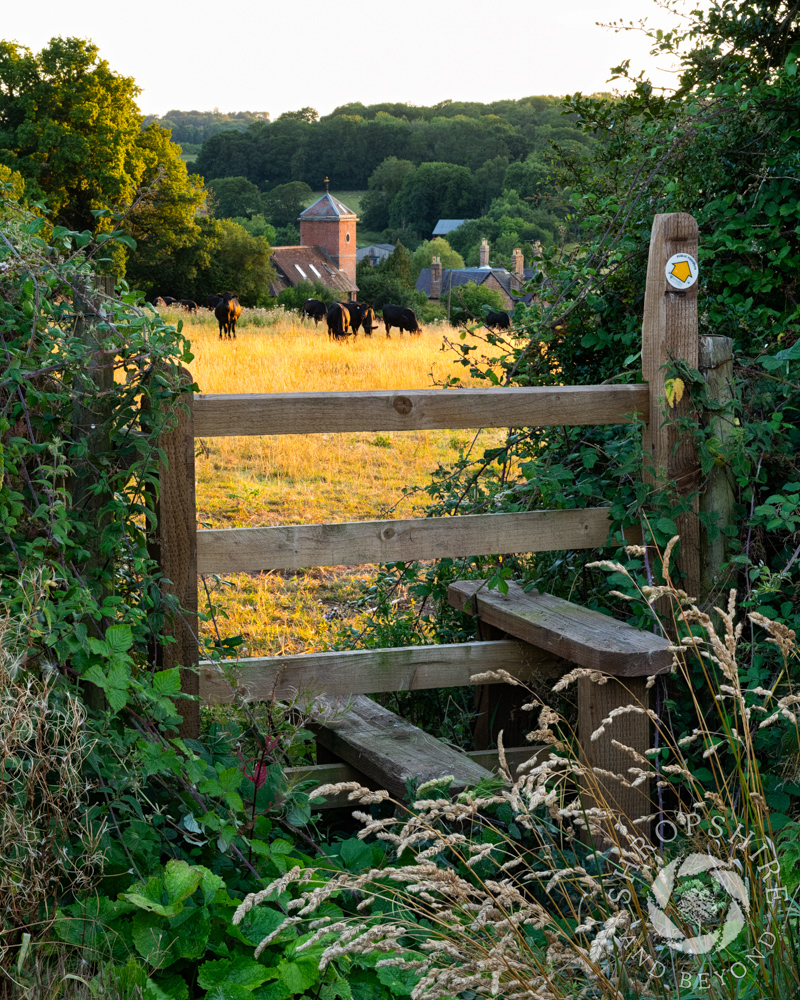 Over the stile on a footpath to discovery