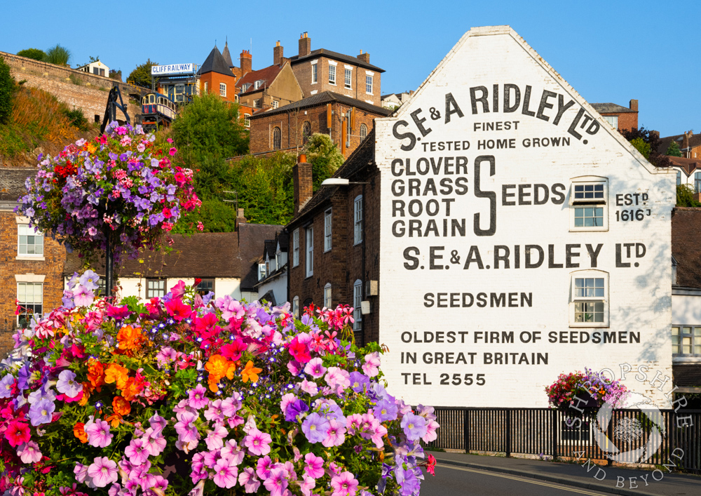 Beautiful Bridgnorth dazzles in the sunshine