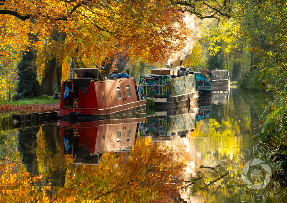 Glorious colours along the Llangollen Canal