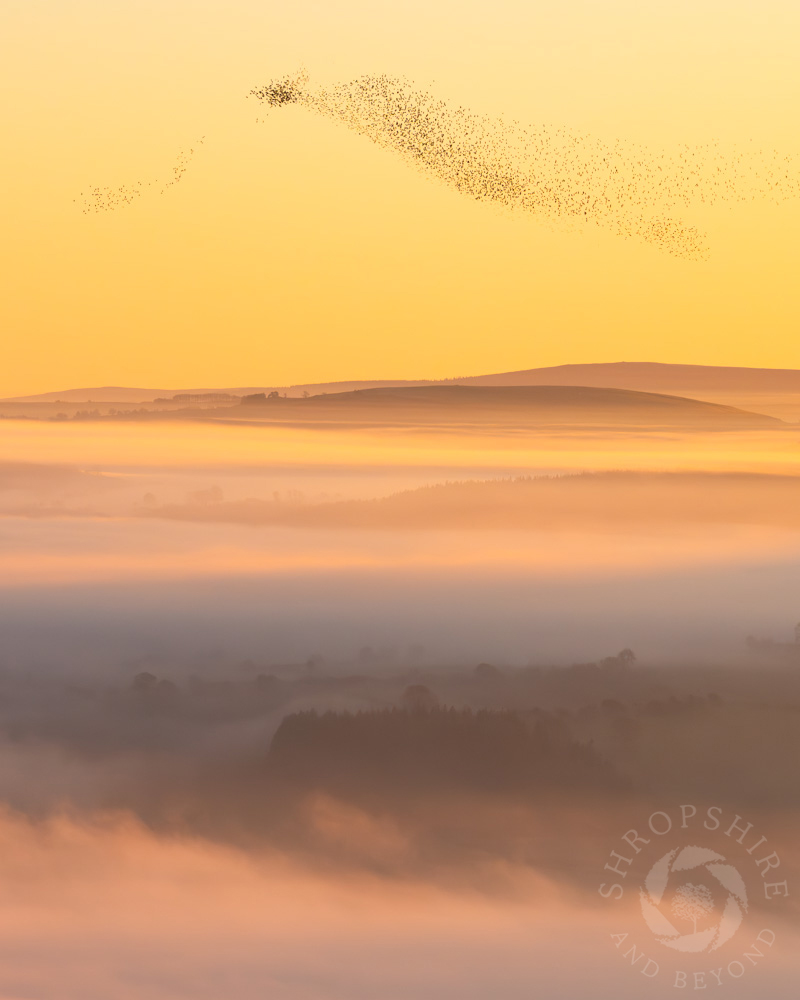 Stunning sight at sunset in Clun Valley