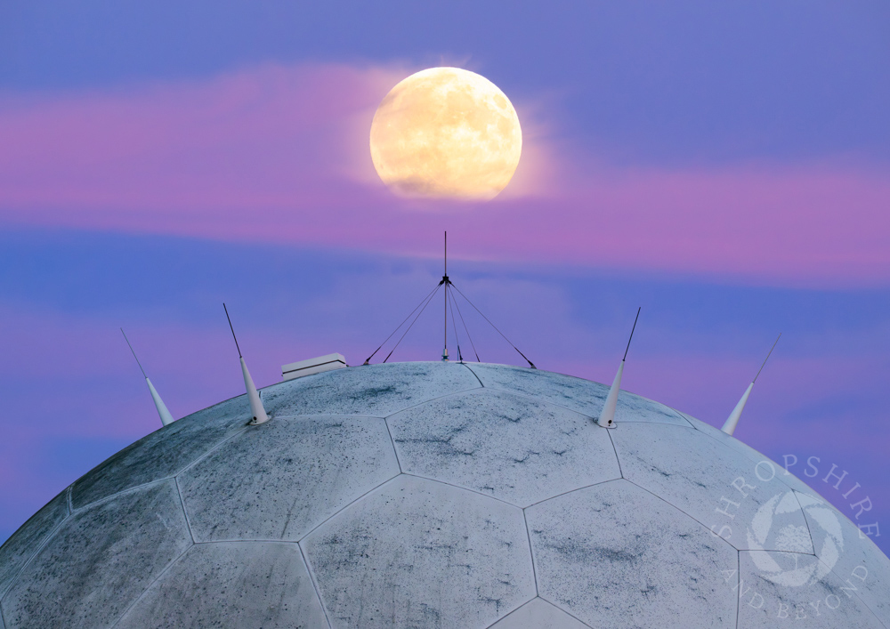 A look back at our best images from 2025