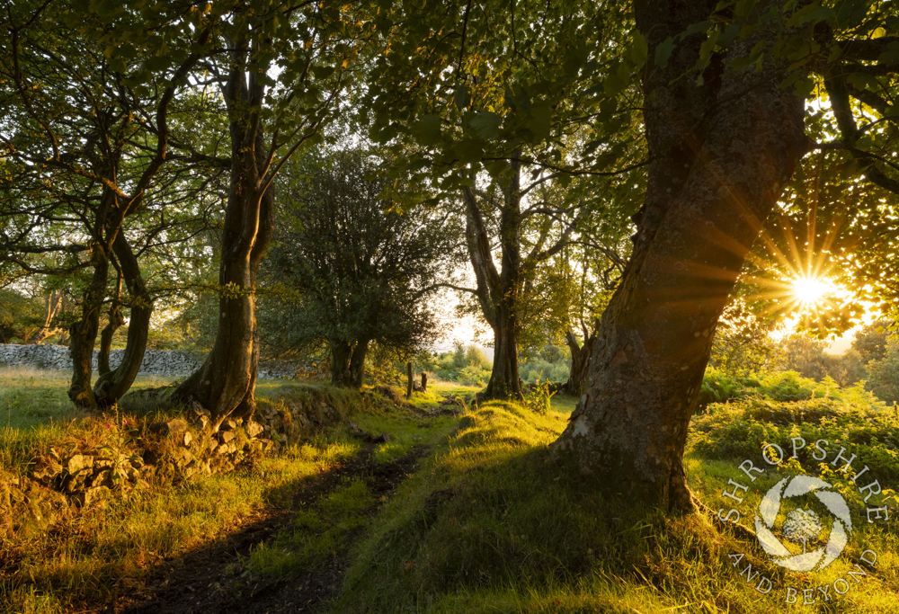 Peace and solitude at Brook Vessons