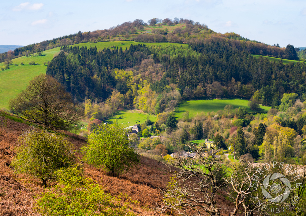Peace and quiet beneath Burrow Hill
