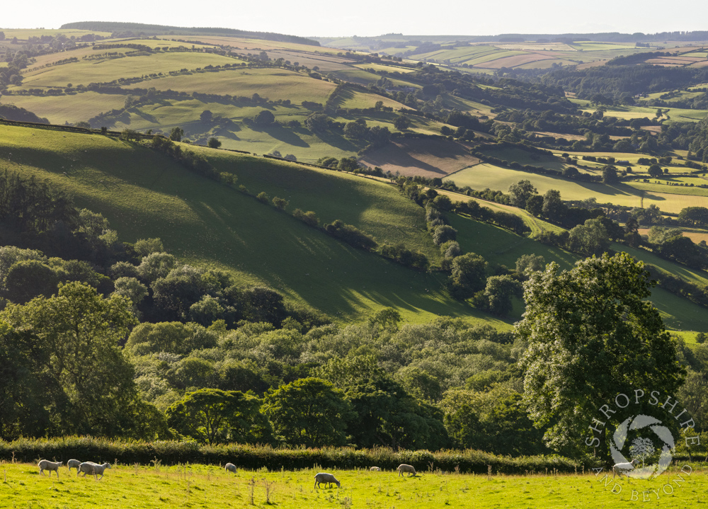 Tranquil evening in the Clun Valley