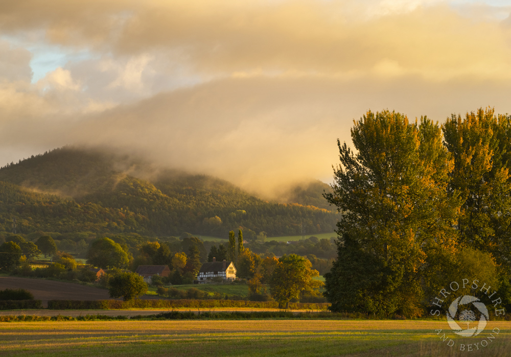Golden light on Tolkien's Middle Earth