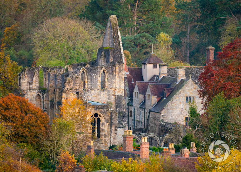 A step back in time at Wenlock Priory