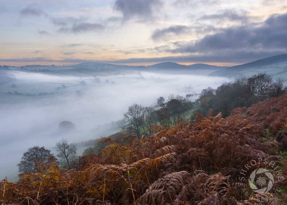 Misty dawn in the Redlake Valley