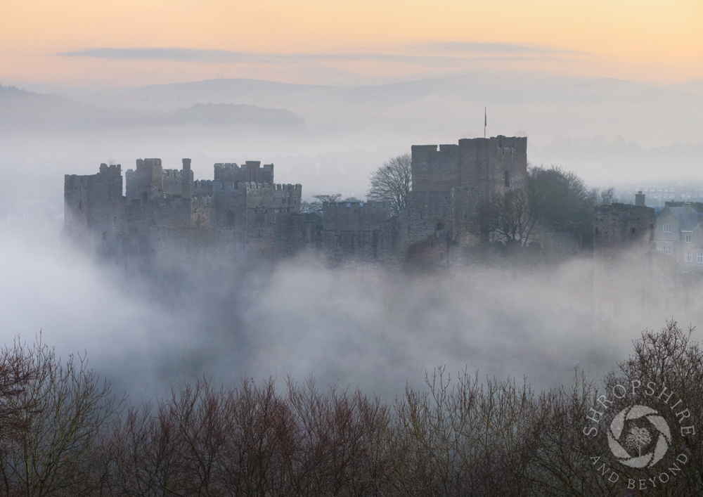 A frosty morning on Whitcliffe Common