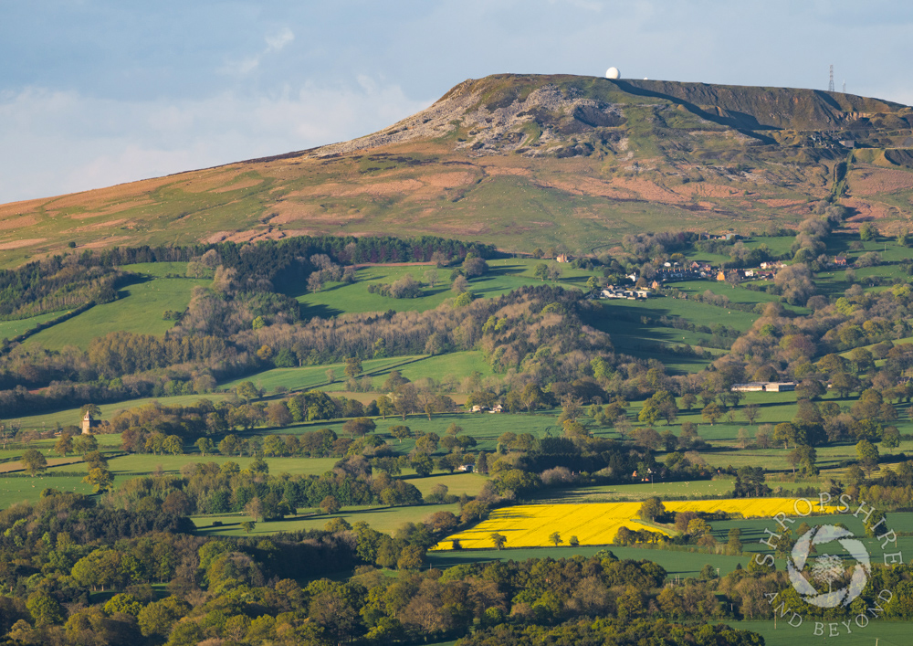 Evening sunlight on Titterstone Clee